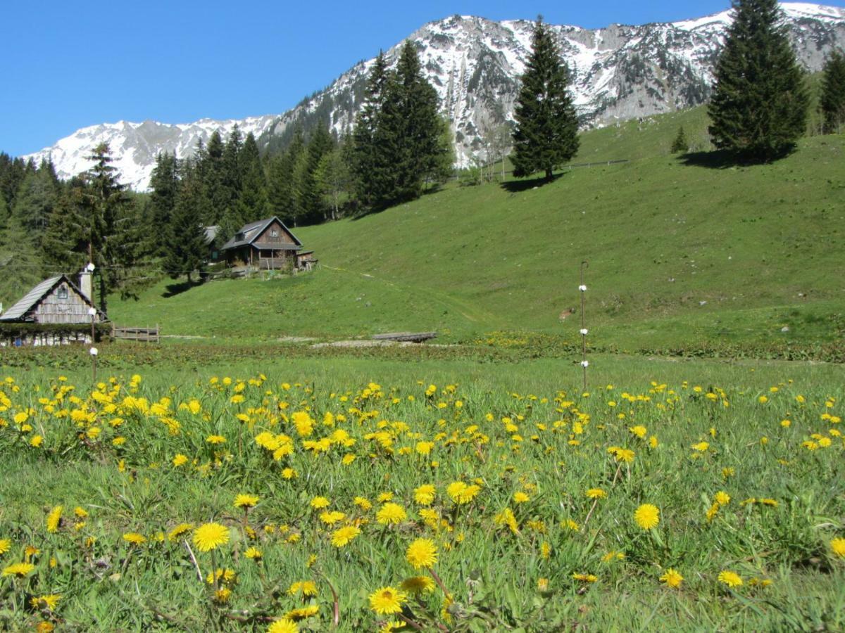 Almgasthaus Seebergalm Hotel Turnau Buitenkant foto