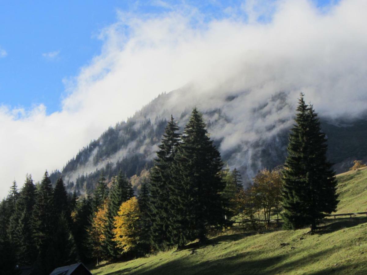 Almgasthaus Seebergalm Hotel Turnau Buitenkant foto