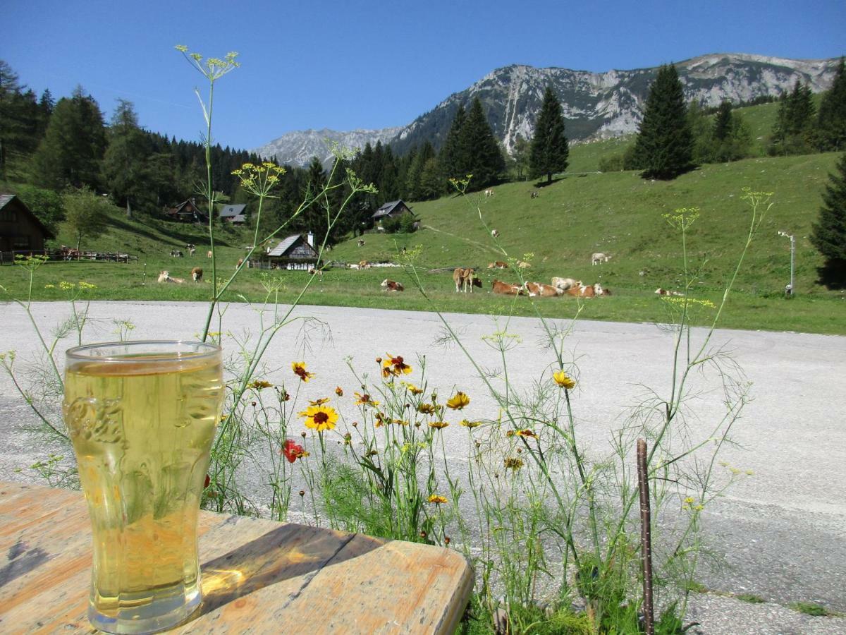 Almgasthaus Seebergalm Hotel Turnau Buitenkant foto